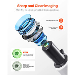 Microscopio compuesto profesional binocular