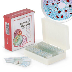 set de porta objetos preparados para microscopio AmScope( 25 unidades)