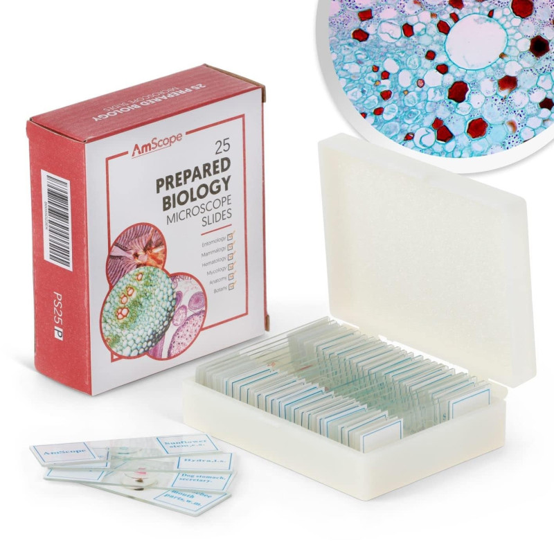 set de porta objetos preparados para microscopio AmScope( 25 unidades)